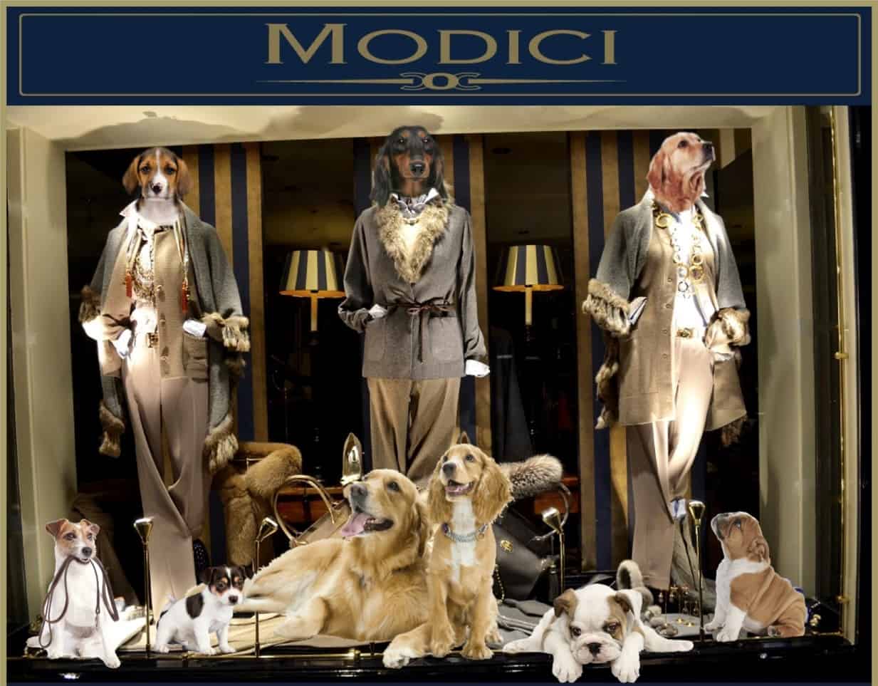 Honden welkom bij damesmodewinkel Modici in Laren in het Gooi