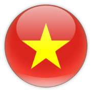 A circular icon with the Vietnamese flag; red background and a large yellow star in the center.